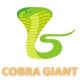 COBRA GIANT SERVICIO | VOD | IPTV