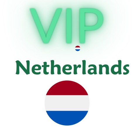 SERVER VIP