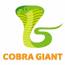 PACKAGE  COBRA GIANT